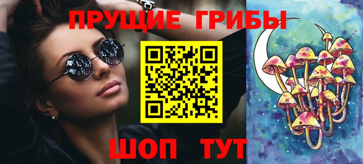 Псилоцибиновые грибы Cubensis Скопин